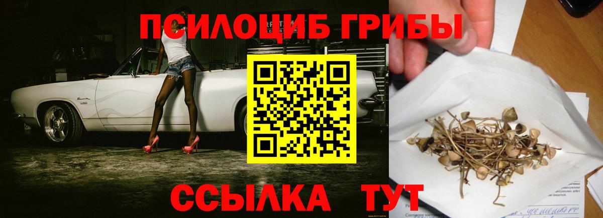 Елец  Галлюциногенные грибы Psilocybe  Вход с VPN 